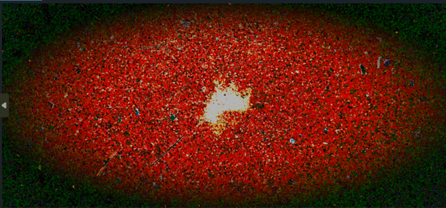 Nascita del silenzio