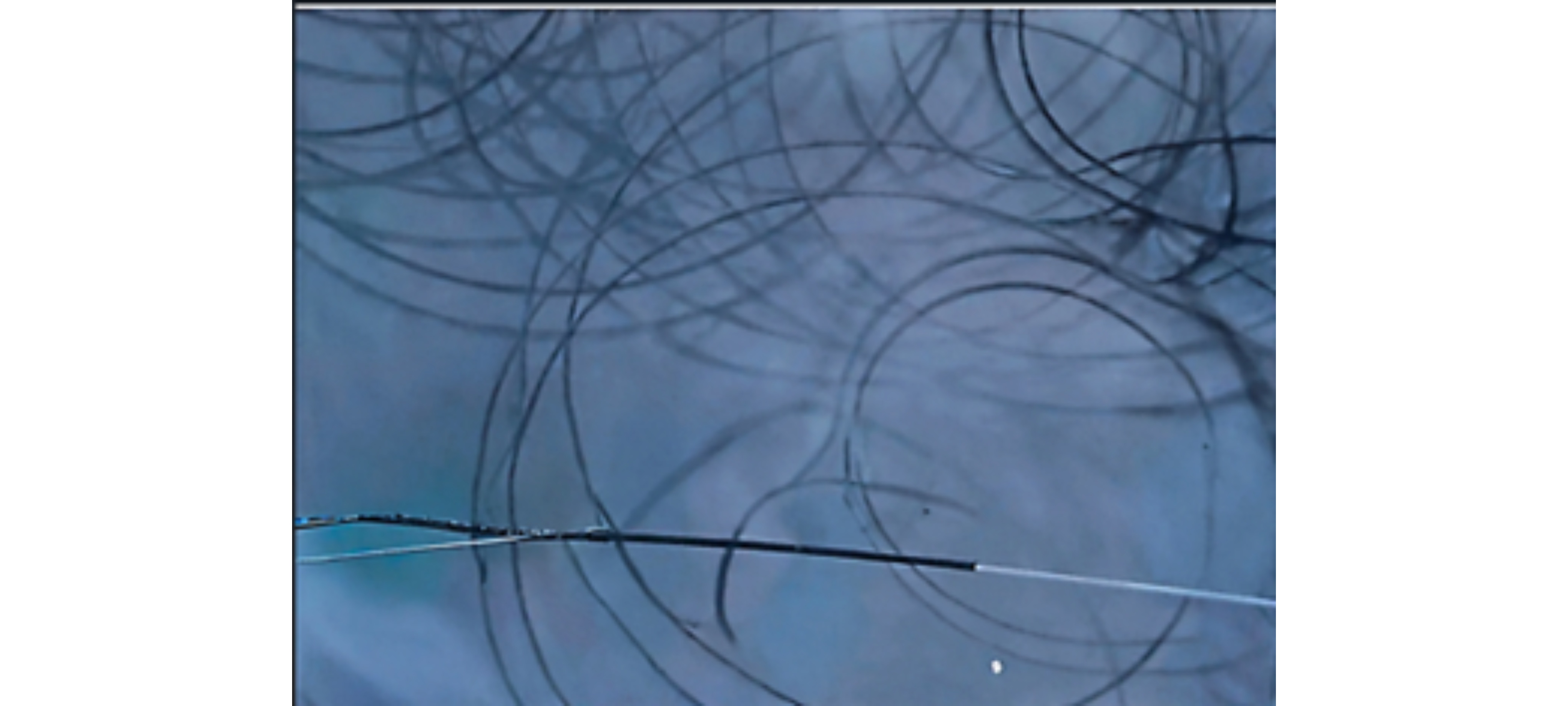 Nel punto di equilibrio